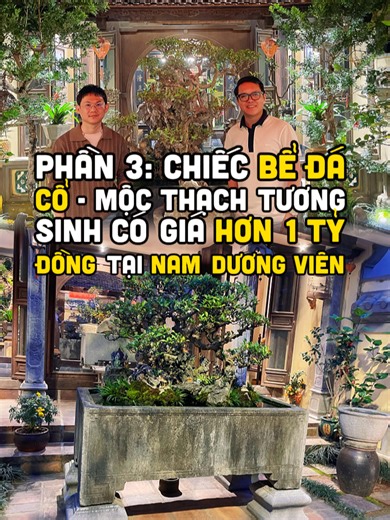 Hơn 1 tỷ đồng cho chiếc bể đá cổ - mộc thạch tương sinh tại tư gia riêng Nam Dương Viên? #learnontiktok #duongmanhkien #knetwork #harrykien #vanhoa #nhaco #doco #beda #bedaco
