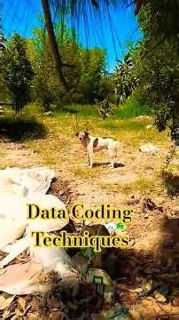 Coding Systems | BCD | ASCII