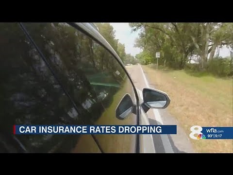 Auto Insurance Rates Drop for Florida Drivers — Here’s What You’ll Save