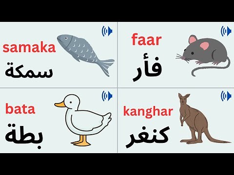 Arabic Names for Animals – Learn Animal Vocabulary Easily!