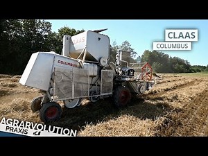 Claas Columbus • Wheat harvest | Agrarvolution Praxis