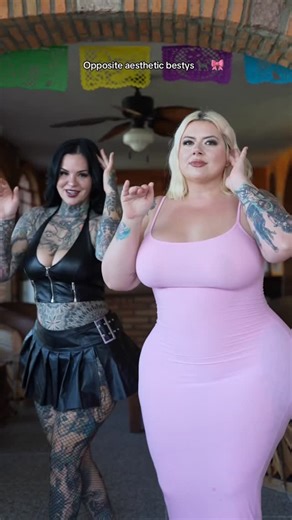 HEIDI LAVON on Instagram: "Every black cat needs her white swan 🥹❤️ @mysticbeinggg"