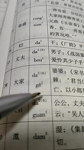 有趣的《潮州话拼音方案》之八个声调、入声、拼读及连读、变调等问题#潮州话