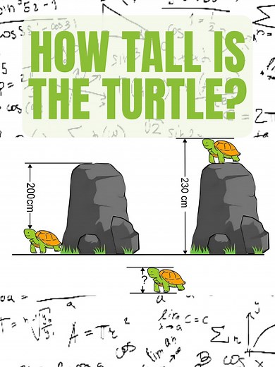Exploring Fun Algebra Problems and Solutions