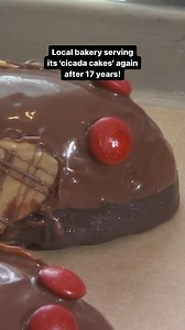 You’ve heard of cicadas — but how about cicada cakes? In anticipation of the biggest cicada invasion in centuries, Bent Fork Bakery in Highwood is bringing back its famous treats after 17 years! Are you trying one? 👀 #highwoodillinois #cicadas #cicadabrood #illinois #cicadaemerge #bakery #bakedgoods #cakes | NBC Chicago