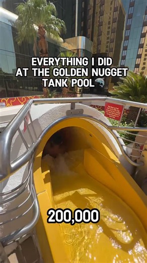 32K views · 138 reactions | This is not your average pool day. Dive into adventure with the shark at The Tank Pool at the Golden Nugget Las Vegas 麗 | Visit Las Vegas | Facebook