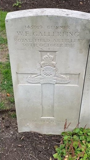 The Horrifying Reality of War