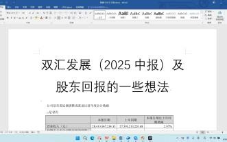 双汇发展简要分析及股东回报的一些想法