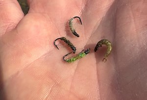 4.4K views · 75 reactions | A fly pattern that’s very simple to tie and super effective. Always pays to carry a few different shades of green and in varying weights and sizes. #aspiringflyfishingnz #sightfishingnz #spring #epicflyrods | Paul and Aspiring FLY Fishing Wanaka NZ | Facebook