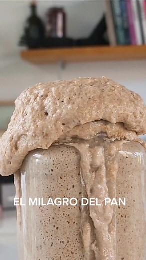 Receta de Pan Integral 100% desde Cero