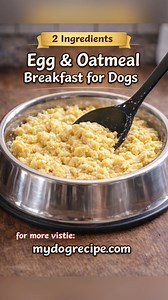 🥣 Egg & Oatmeal Breakfast for Dogs Looking for a quick, gentle, and nourishing breakfast for your dog? This Egg & Oatmeal Breakfast is made with only 2 simple ingredients, easy to digest, and perfect for an occasional homemade meal or topper. ✅ Great for sensitive stomachs ✅ Soft texture, easy to chew ✅ No seasoning, no additives 🧾 Ingredients • 2 eggs • ½ cup rolled oats • Water (for cooking oats) 👩‍🍳 How to Make 1. Cook the rolled oats in water until soft and fully absorbed. 2. In a bowl, 