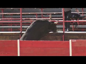 VESTRIC COURSE DE LIGUE 29.05.2021