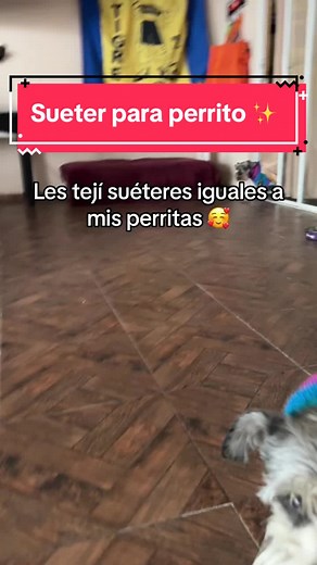 Tutorial de suéter para perrito a crochet disponible