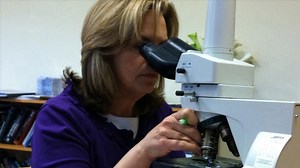 Dr. G: Inside the Caylee Anthony Case