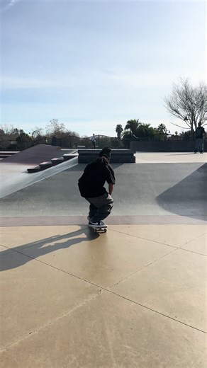 Bs flips #skateboarding