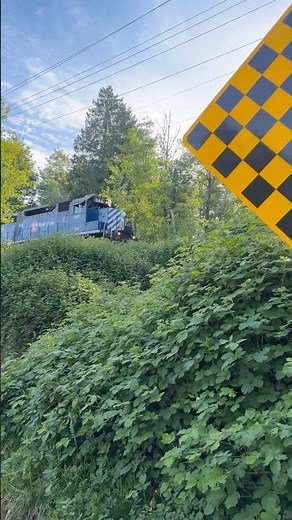 Real Train Sounds 🚊 | Amazing Train Passing Experience & Relaxing Railway Ambience in Surrey BC