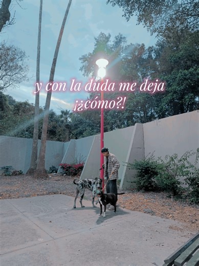 ASAP, definition #songs #canciones #reggaeton #lunitunería #reggaetonmexa