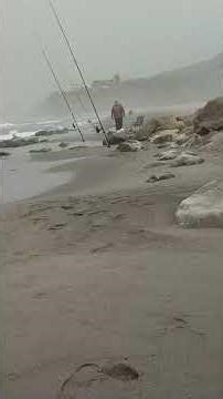 Temps forts du direct