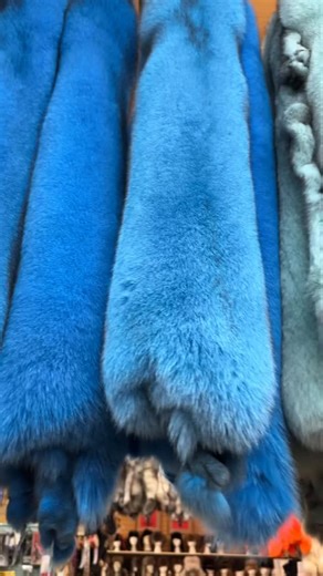 Our dyed blue fox fur pelts are next level! Gorgeous, bright, rich, thick blue foxes dyed in the in the most vibrant colors. Prime top quality dyed blue fox fur. These beautiful fluffy pelts are ready to be shipped same day as order is received. Sizes available: XL, XXL/jumbo, Super jumbo Starting at $260 For more pricing please visit www.billworbfurs.com #foxes #bluefox #realfur #indigenousculture #nativeamericanculture #billworbfurs | Bill Worb Furs Inc
