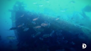 Ever heard of the Shipwreck Coast? 🗺️☠️ We're bringing you into a behind-the-scenes look at tonight's adventure on #ExpeditionX with Joshua Gates, Jessica Chobot, and Phil Torres. Watch the all-new episode at 8p ET, only on Discovery! | Expedition Unknown