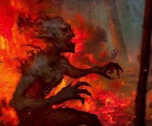 Maerolorn-Gwent The Witcher Card Game Live Wallpaper