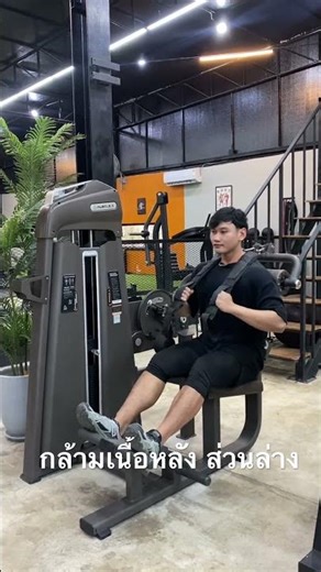 Back extention machine