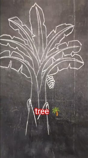 How to draw banana tree. #art #asksupermaking #artclass #easydrawing #shorts #painting #quickdraw