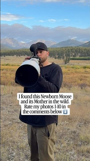 I found this Newborn Baby Moose and its Mother in the wild this spring. How did I do on my photos?