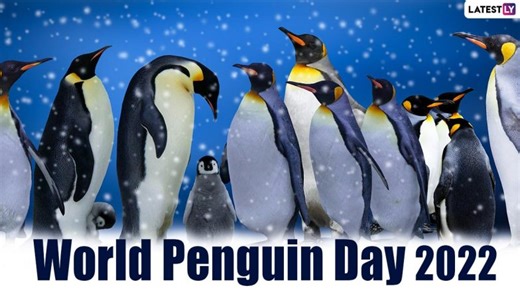 Bihar Assembly Election 2025: Congress Leader Rahul Gandhi Accuses PM Narendra Modi, Amit Shah and Election Commission of ‘Vote Theft’