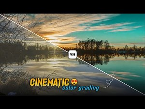 Cinematic Color Grading in Vn App | How To Add Professional Color in Your Video ||