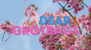 Dear Grotbags Episode 1 | The Bald Builders
