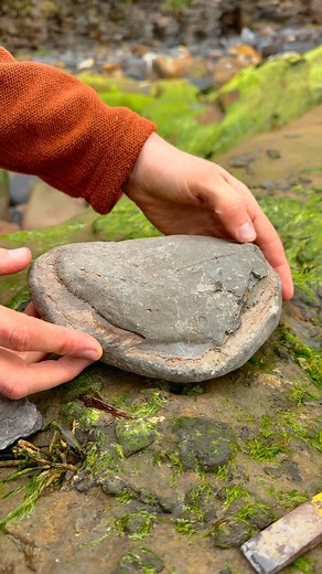 Finding fossil bone! Here’s a Jurassic Ichthyosaur vertebra we found loose in a rock pool! How long had it been sat there? It is roughly 185 million years old! 🏝🐚 Thanks In advance for supporting the page! #natural #nature #fossil #fossils #ancient #animals #art #ammonite #ammonites #dinosaur #scientist #minerals #paleontology #whitby #geologist #dorset #geology #charmouth #jurassic #yorkshire | Yorkshire Fossils