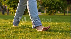 close up bare feet go on the grass. girls walking bare bare legs on the grass in the park in summer day. Comfort, freedom, and connection with nature