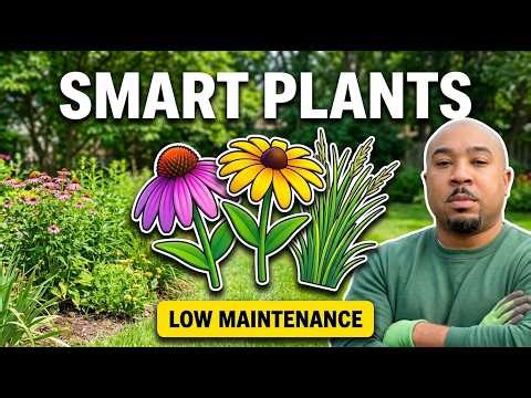 10 Plants I'll ALWAYS Use After Realizing This