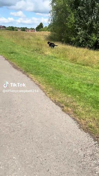 tiffanycampbell214 on TikTok