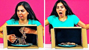 331K views · 123 shares | Fun challenges you must try.  | 5-Minute Crafts Teens | Facebook