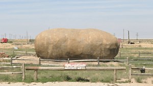 Wonders of Street View archives strange things seen on Google's mapping service