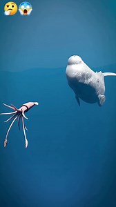 869K views · 5.1K reactions | Whale_Vomit_Is_Worth_Millions螺 #vomit #2CR #factsvideo #shorts_ #facts | Fact Flare | Facebook