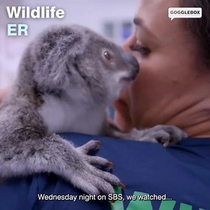 This was turtle-y adorable🥹🐨 | Gogglebox Australia