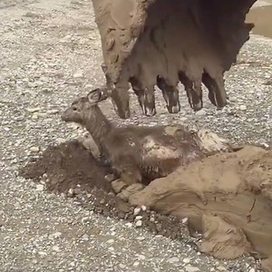 3.9M views · 5.8K reactions | Faith in humanity restored. | A Plus | Facebook