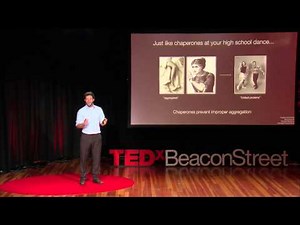 David Pincus - Alchetron, The Free Social Encyclopedia