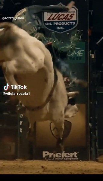 J.B. Mauney: Legendary Cowboy and Bull Rider Highlights