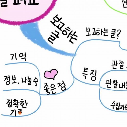 초등 4학년 1학기 국어, 3단원: 자세하게 살펴요 #초등국어 #4학년 #국어마인드맵 #공부발전소 #요상한노트 #낱말사이관계 #보고하는글
