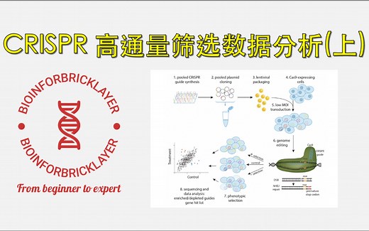 【生信进阶之路｜工具篇 04】如何分析 CRISPR 高通量筛选数据（上）
