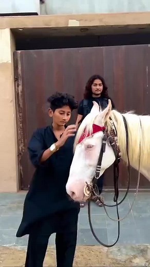 #vampire #yt #foryou