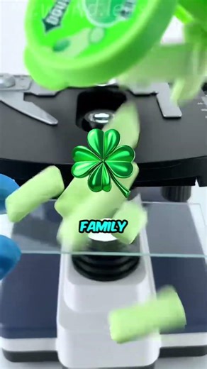 Gum under a microscope 🤯🤯