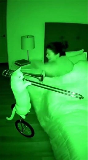 She Woke Up to a Trombone Cat at 3AM 😭 #shorts #cat