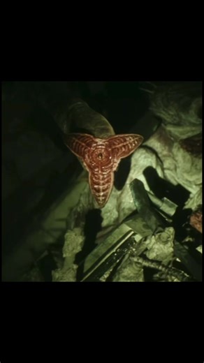 Exploring Aliens in Movies: A Cinematic Journey