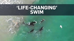 164K views · 1.8K reactions | A woman swimming at a beach in northern...
