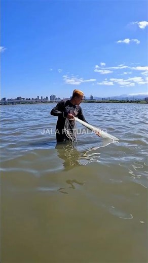 Mullet Net - During High Tide #SHORTS #TRANSPORT
